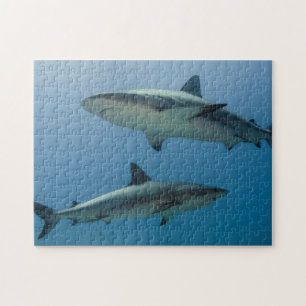 Karibischer Riffhai Puzzle