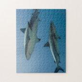 Karibischer Riffhai Puzzle (Vertikal)