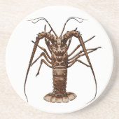 Karibischer stacheliger Hummer Sandstein Untersetzer (Vorne)