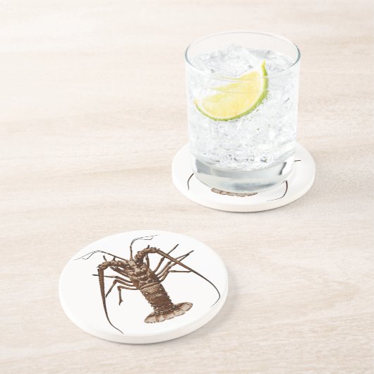 Karibischer stacheliger Hummer Sandstein Untersetzer (Seite)