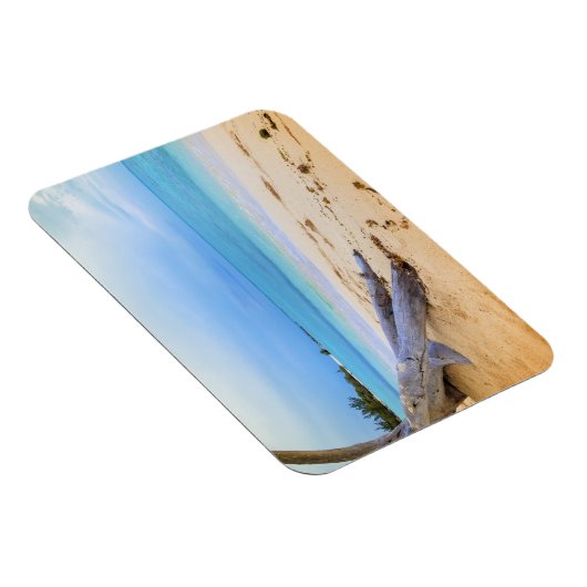 Karibischer Strand Magnet (Rechte Seite)