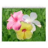 Karibischer Wandkalender (Titelbild)