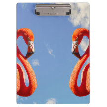 Karibisches Flamingo-Paar