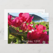 Karibisches Rosa Bougainvillea Postkarte (Vorne/Hinten)