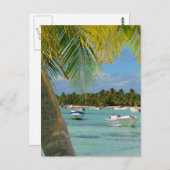 Karibisches Tropenparadies Postkarte (Vorne/Hinten)