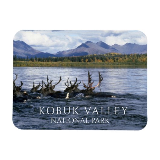 Karibou Crossing Kobuk River, Kobuk Valley Magnet (Horizontal)