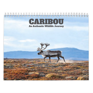 Karibu 2027 Wandkalender