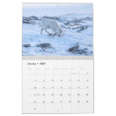 Karibu 2027 Wandkalender (Jan 2027)