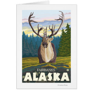 Karibu im wilden - Fairbanks, Alaska