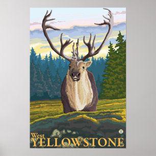 Karibu im wilden - WestYellowstone, M.Ü. Poster
