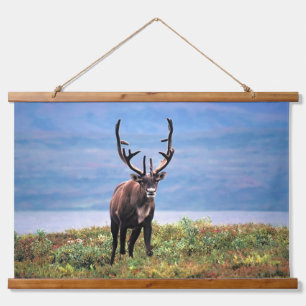 Karibu oder Rentier Denali-Nationalpark, Alaska Wandteppich Mit Holzrahmen