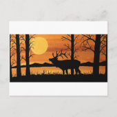 Karibu Postkarte (Vorderseite)