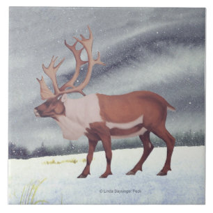 Karibu-Schnee-Quadrat Fliese