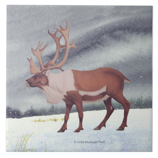 Karibu-Schnee-Quadrat Fliese (Vorderseite)