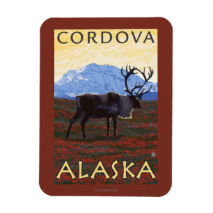 Karibu-Szene - Cordova, Alaska Magnet