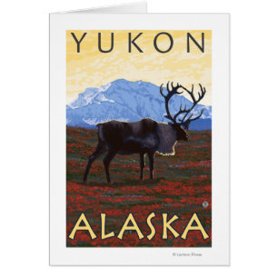 Karibu-Szene - Yukon, Alaska