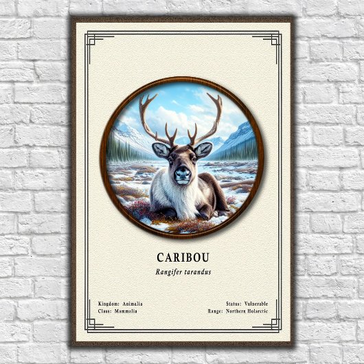 Karibu-Zoologie-Serie Poster