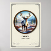 Karibu-Zoologie-Serie Poster (Vorne)
