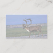 Karibus Visitenkarte (Rückseite)