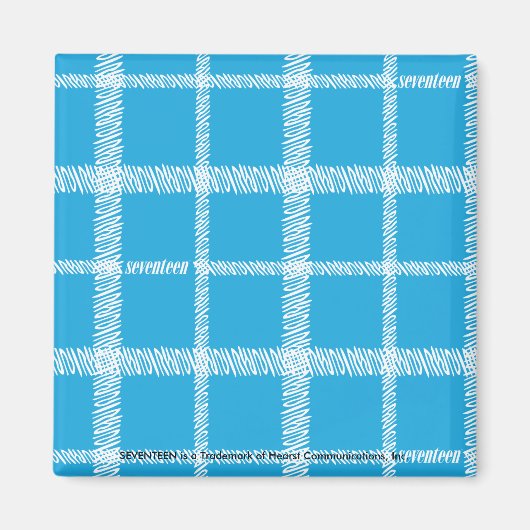 Kariert Aqua Magnet (Vorne)