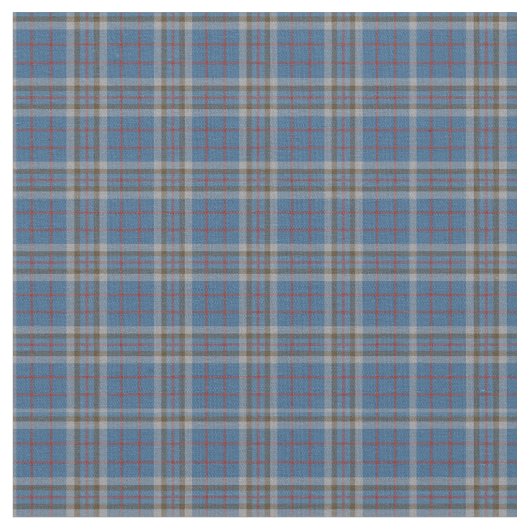 Kariert Clan Thompson Tartan Gray Blue Karo Stoff (Nahaufnahme)