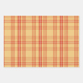 Kariert, Dandelions & Feathers Geschenkgutschrift Geschenkpapier Set (Vorderseite 2)