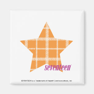 Kariert Orange 2 Magnet