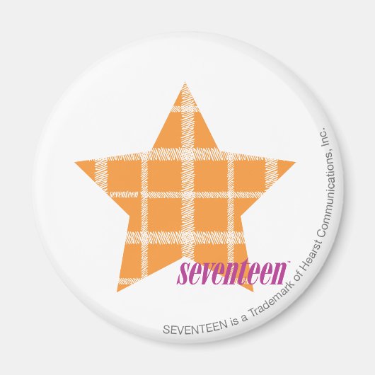 Kariert Orange 2 Magnet (Vorne)