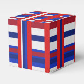 Kariert Patriot Geschenkschachtel (Vorderseite)