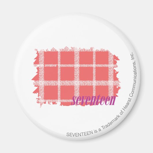 Karierte Farbe 2 Magnet (Vorne)