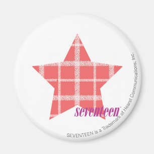 Karierte Farbe 3 Magnet