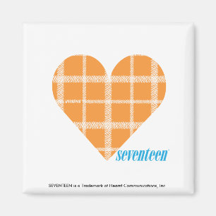 Karierte Orange 4 Magnet