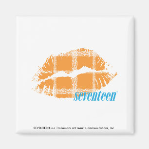 Karierte Orange Magnet