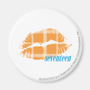 Karierte Orange Magnet