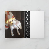 karierte Pfoten-Beileid-Karte Karte (Innenseite)