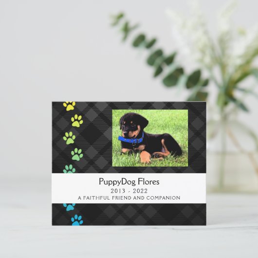 karierte Pfotenausfallkarte (Stehend Vorderseite)