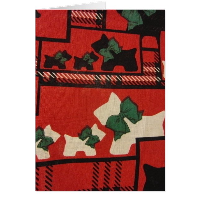 Karierte Scotties & Westies (Vorne)