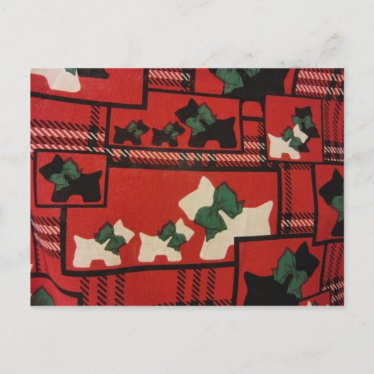 Karierte Scotties & Westies Postkarte (Vorderseite)