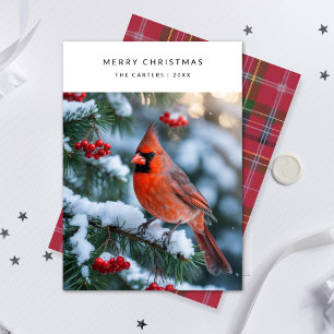 Karierter Red Kardinal Frohe Weihnachts-Bird-Foto Feiertagskarte