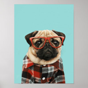 Karierter Shirt Mops Poster