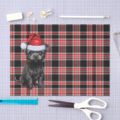 Karierter Weihnachtsfeiertag Affenpinscher Hund Ur Seidenpapier (Handwerk)