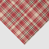 Kariertes 23-GEWEBE-WRAPPING-PAPIER Seidenpapier (Ausschnitt)