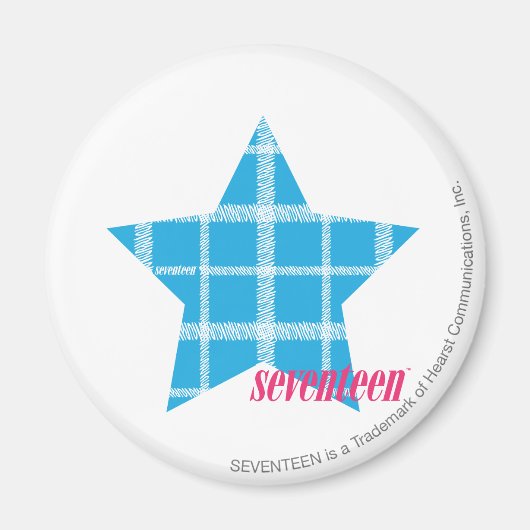 Kariertes Aqua 3 Magnet (Vorne)