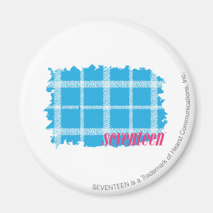 Kariertes Aqua 4 Magnet