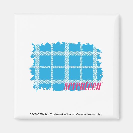 Kariertes Aqua 4 Magnet (Vorne)