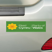Kariertes Cymru Party von Wales Autoaufkleber (Auf Auto)