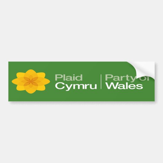 Kariertes Cymru Party von Wales Autoaufkleber (Vorne)