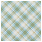 Kariertes Muster des hellblauen Olive Green Tartan Stoff (Nahaufnahme)