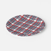 Kariertes Muster Pappteller (Schrägansicht)