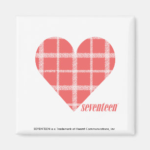 Kariertes Rosa 4 Magnet